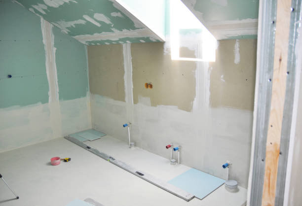 Best Mold Remediation for Rental Properties  in Colorado City, AZ