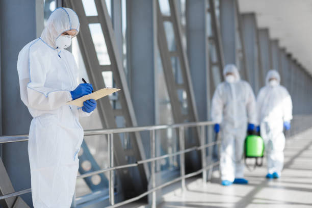 Best Mold Remediation for Healthcare Facilities  in Colorado City, AZ