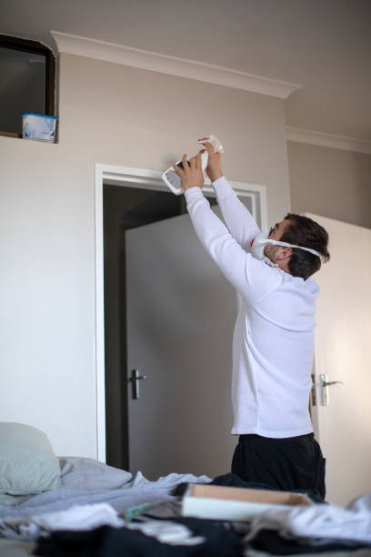 Best Dehumidification Services  in Colorado City, AZ