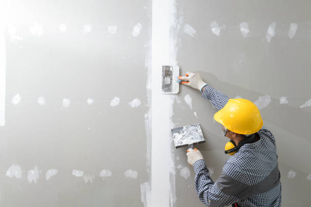 Best Airborne Mold Testing  in Colorado City, AZ