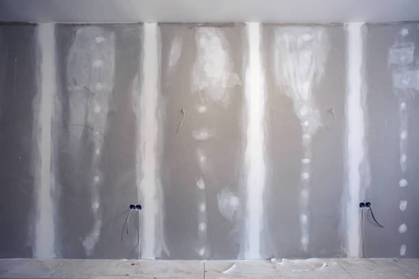 Forensic Mold Investigation in Colorado City, AZ