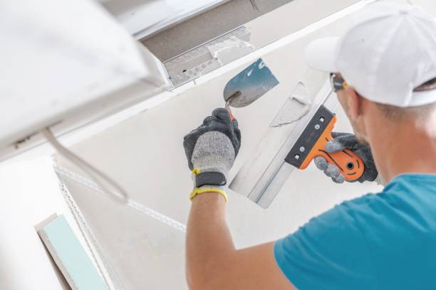 Best Asbestos and Lead Testing During Mold Inspection  in Colorado City, AZ